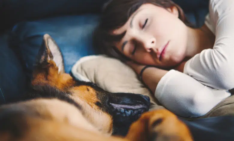 נשים ישנות טוב יותר לצד הכלב שלהן מאשר לצד הגבר שלהן וזה בדיוק למה