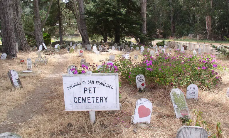 בית קברות לחיות האם קיים דבר כזה באמת?