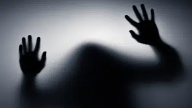 רוח רפאים בבית האחיינית | סיפור מפחיד שחייבים לקרוא