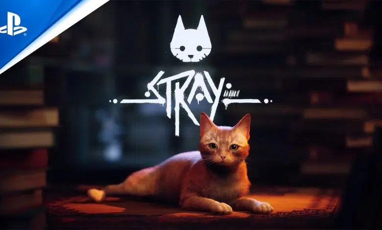 Stray המשחק שייקח אתכם להרפתקה בתור חתול
