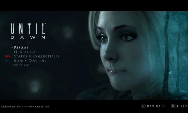 Until Dawn
